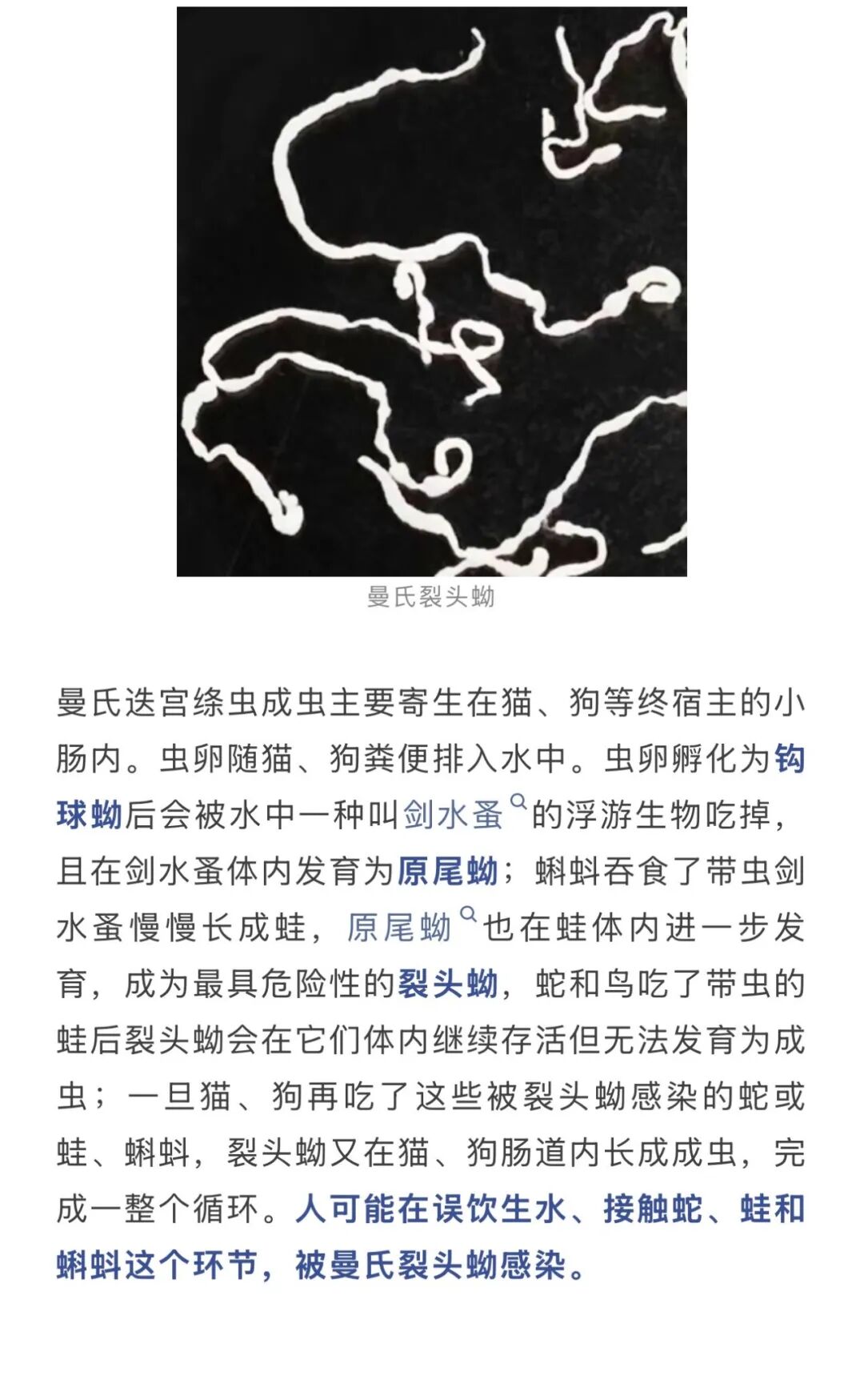 8585a3aa15bb47b7b90a0f139632de81_3709e886.png