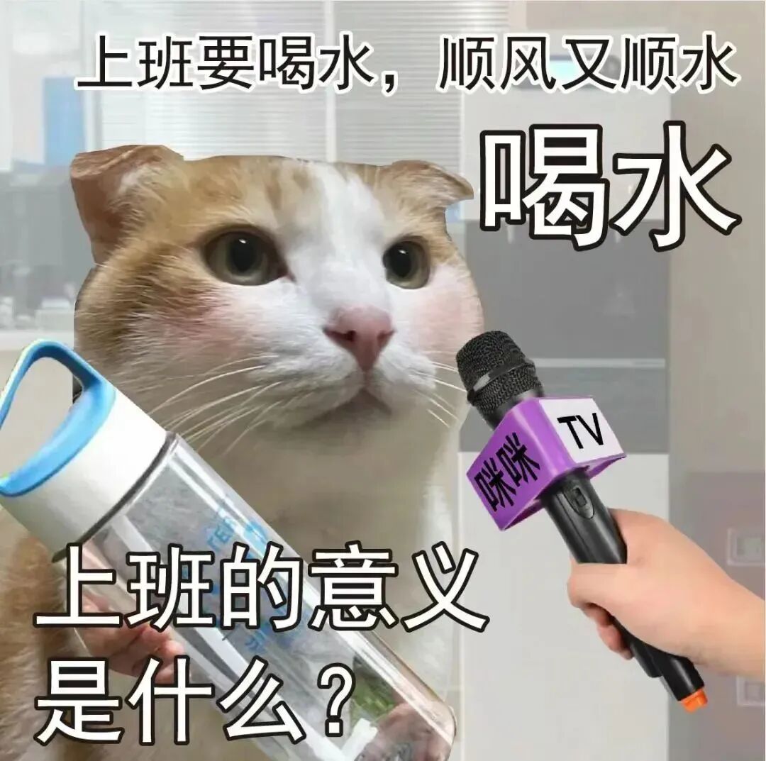 8c002af95022430db020af1102b9f6ec_eb648ce0.png