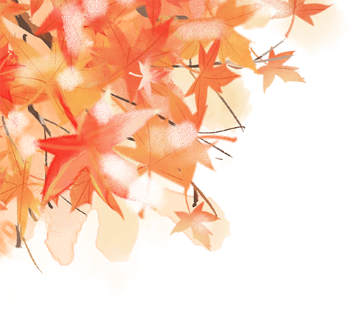 8c544842b80a4384bd8f5e4188f0cfc4_b5a2a54b.png