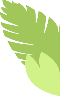 catch_6a179b618a17b_b607c684.png