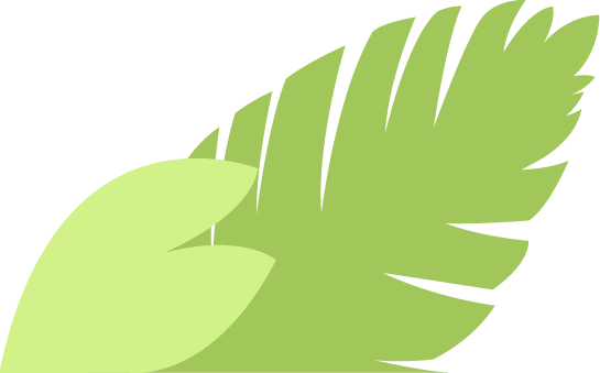 catch_6a179b61ed91b_cd908c03.png