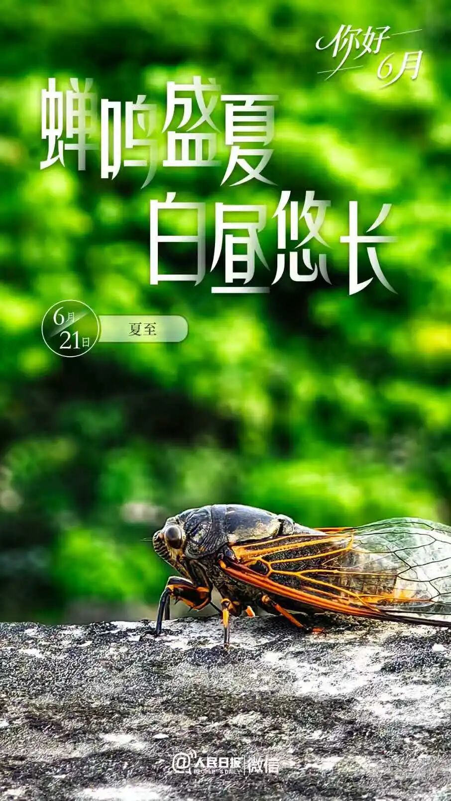 catch_6a1cce8deb2c5_234d8ee6.jpg