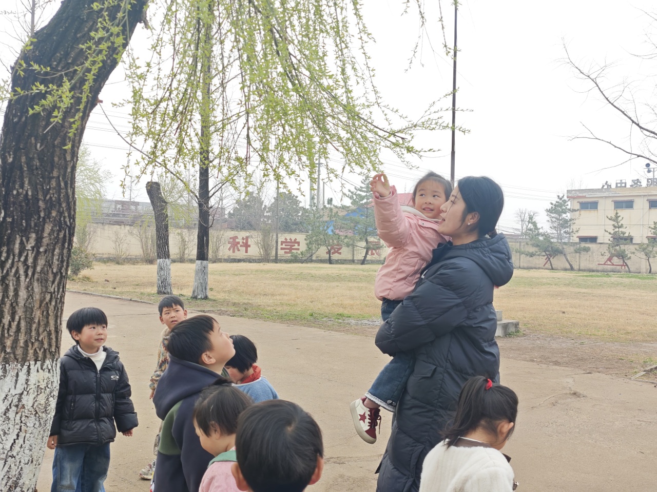 catch_69bc92af1d2de_b1249ca2.jpg