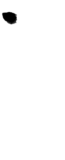 catch_69cf219621838_81789469.gif