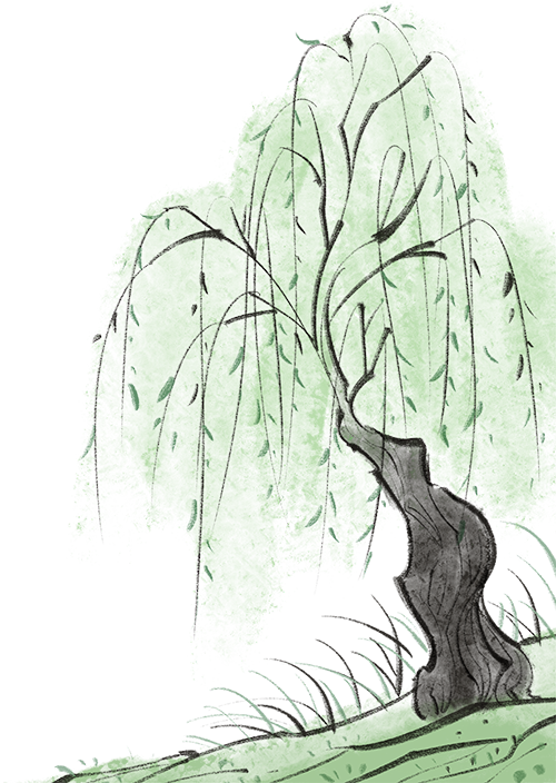 catch_69cf2196458d2_7e81ea64.png