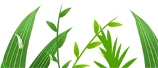 catch_69f1490d7a73f_e99475a2.png