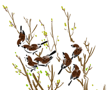 catch_6a0d1710acc3a_6f7963b7.png