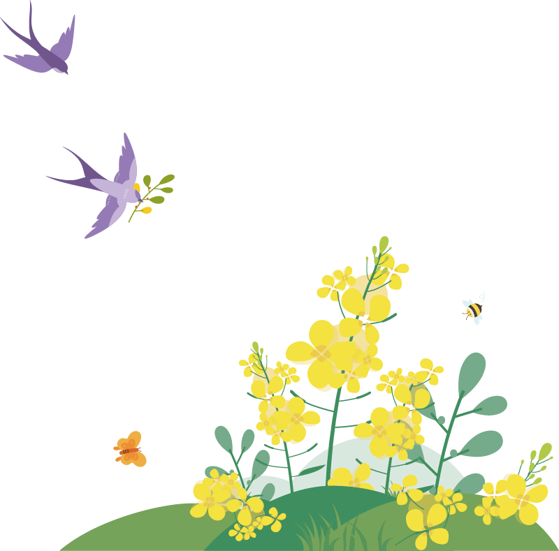 catch_64210a6b5fffb_20ce4fde.png