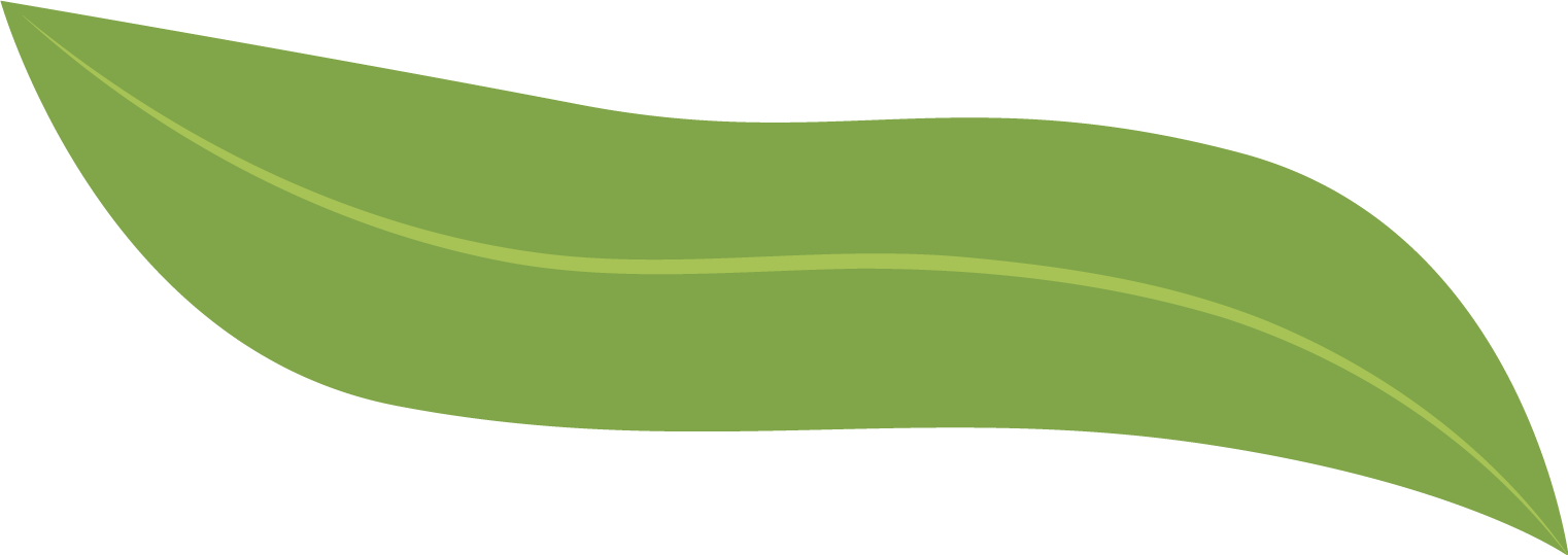 catch_6838119a172e6_7b87a55d.png