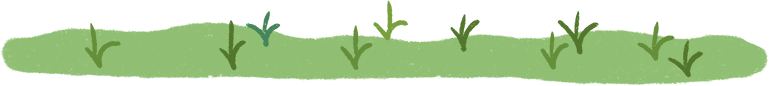 catch_6a1f93149ab05_2a944705.png