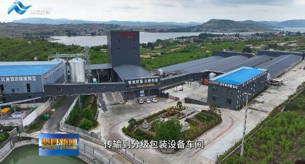 走基层：一颗鸡蛋的科技成长记