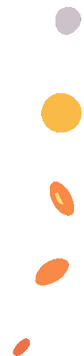 catch_6a2217c2e2b2a_156c172c.gif