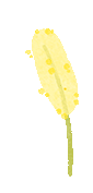 catch_6a2291a183299_e5fce0cf.gif
