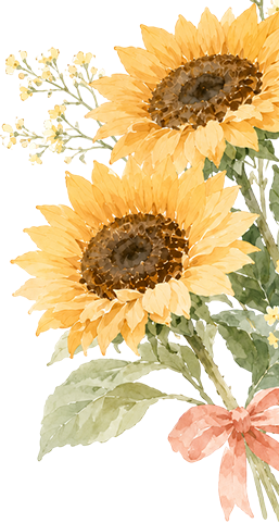 catch_6a23fd7e96047_5873223a.png
