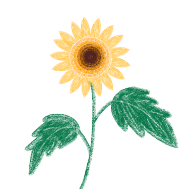 catch_6a251a59b7bc9_d669b358.png