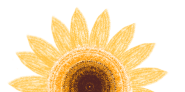 catch_6a251a59d332d_595dd844.png