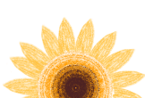 catch_6a251a59f0edf_a72f8915.png