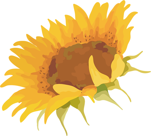 catch_6a251a5a59928_eb2c31ed.png