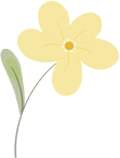 catch_6a251a78ac55d_c3c9c7e4.png