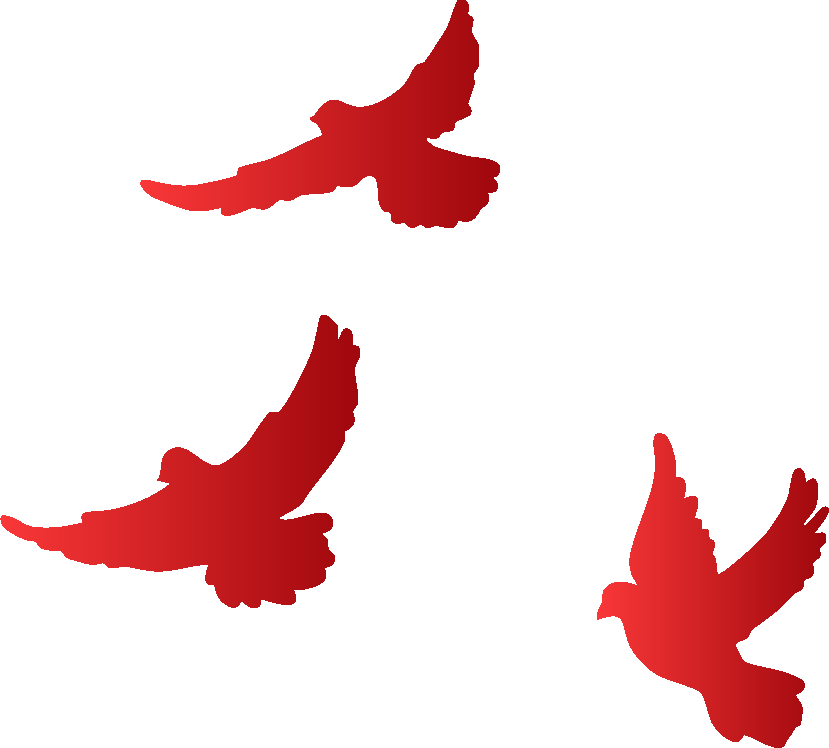 catch_6a23fdf3d8ba4_9f746406.png