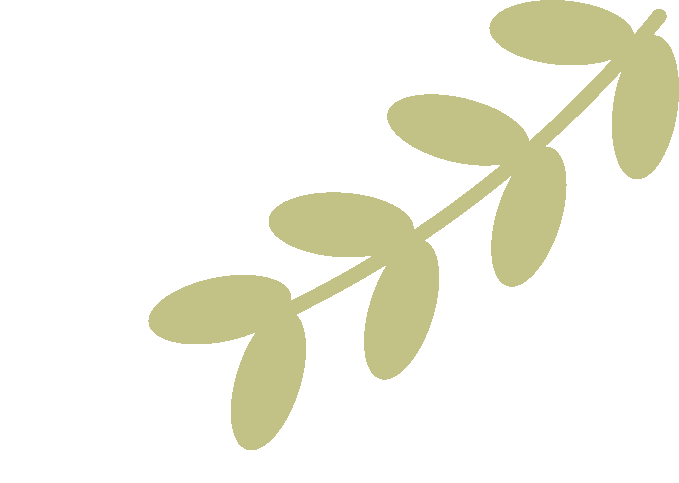catch_6a23842326ef3_9391f090.gif