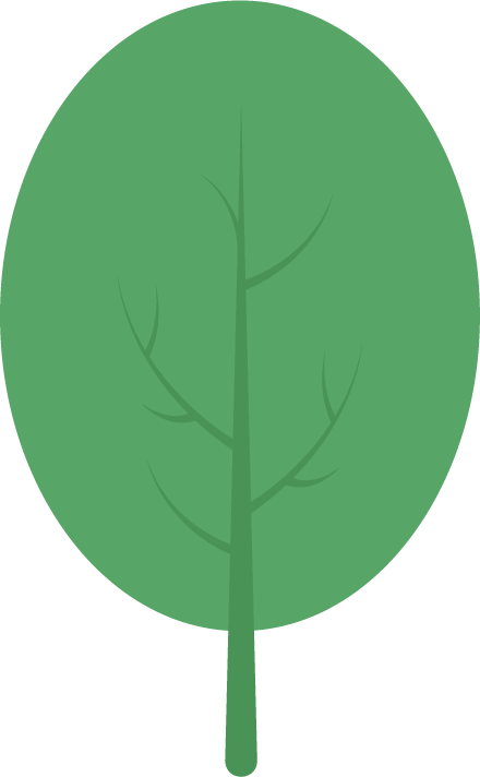 catch_6a27e3f92597f_1f81e050.png