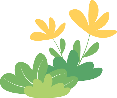 catch_6a27e3f9040d3_9dd4fddd.png