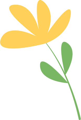 catch_6a27e3f92ce99_c8ed29f6.png