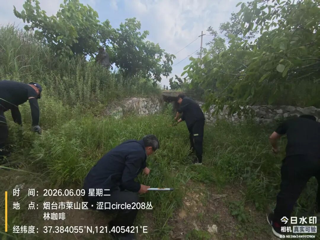catch_6a2804502e8d7_2c1c43dd.jpg