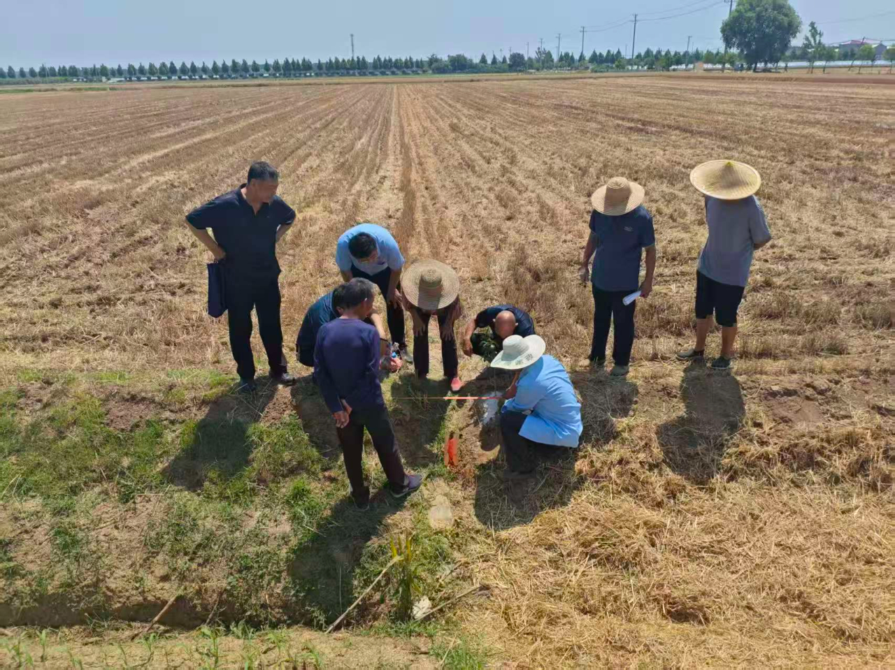 【有矛盾纠纷找综治中心】兰陵镇：田间地头“解纷”忙 守护麦收“丰”景如画