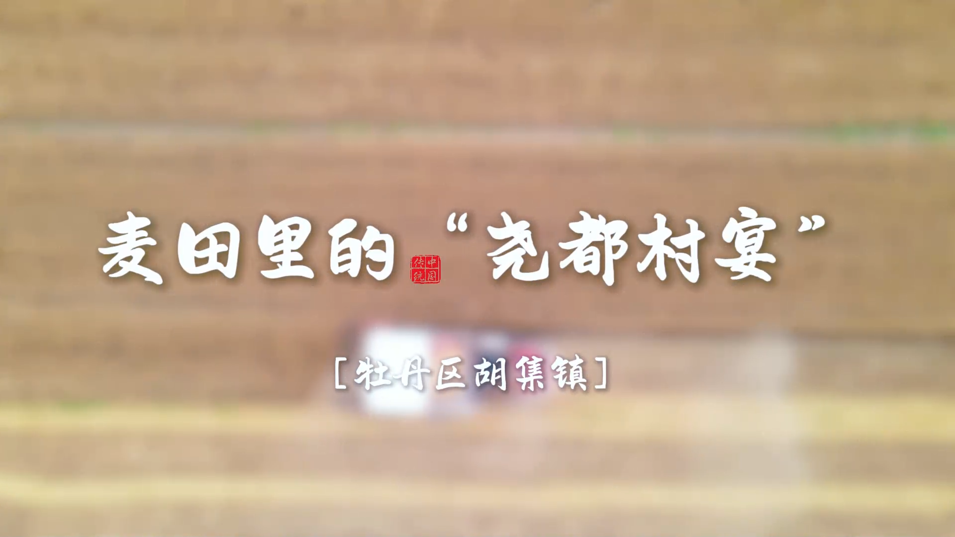 牡丹区胡集镇：麦田里的“尧都村宴”