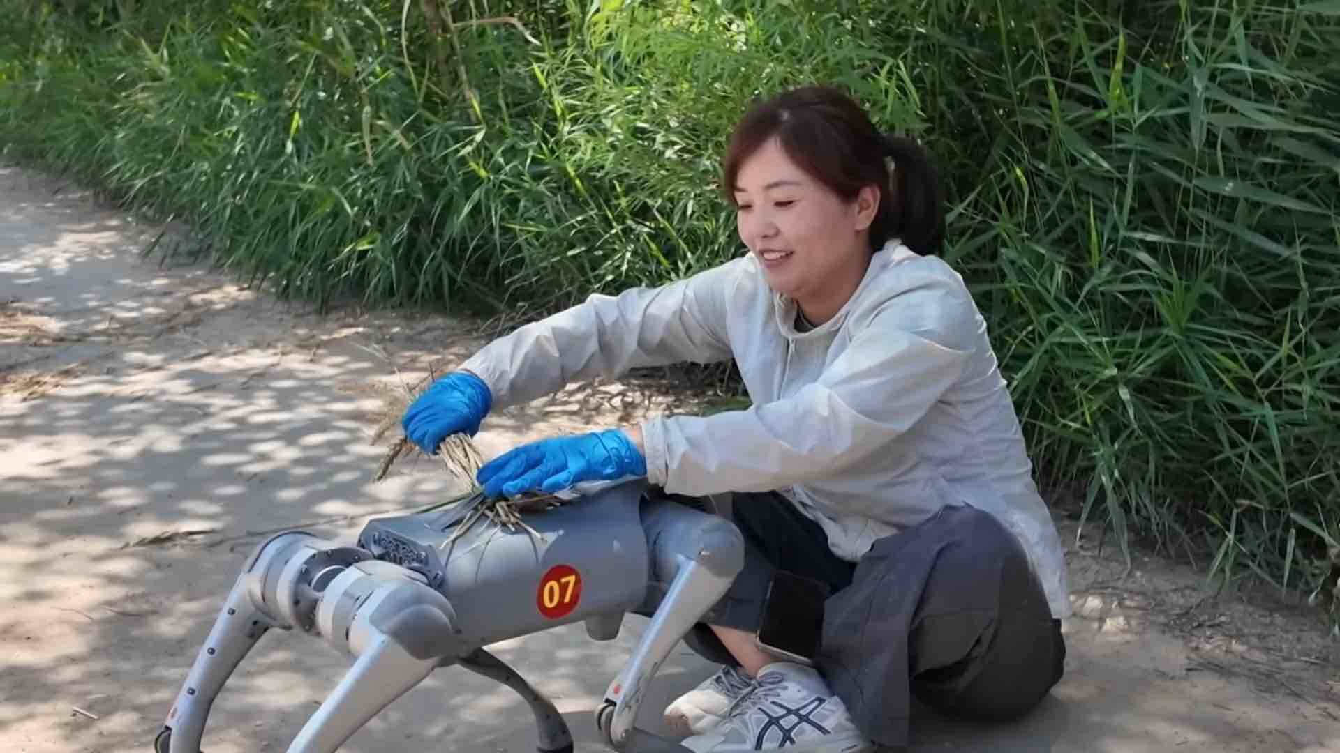 95f670ac05f045278fb5a85df1b48980_fb867b99.png