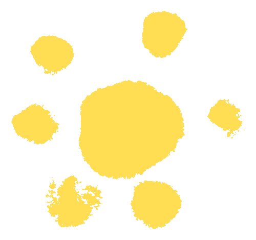 catch_6a221813b83e5_e394a037.gif