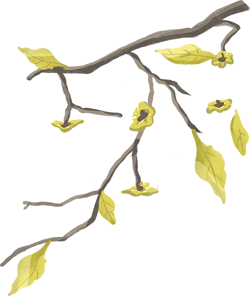 catch_6a334c9ce03c0_e947b660.png