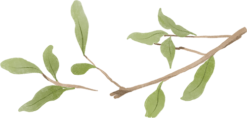 catch_6a334c9d2cbaf_aa26022a.png