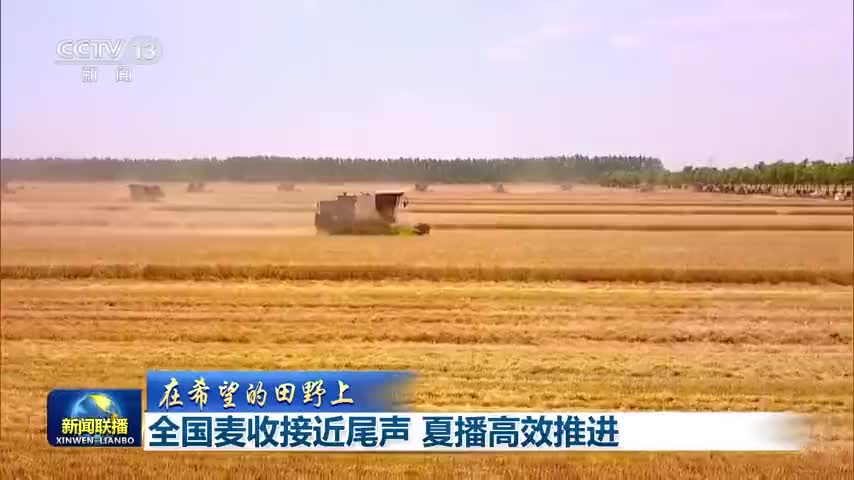 80多万台收割机，是如何做到像“网约车”一样精准匹配麦收需求的？