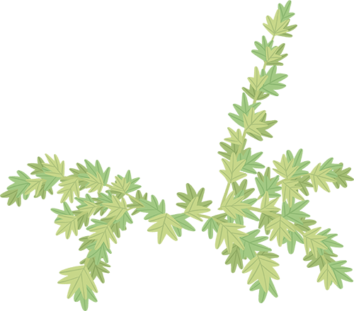c14ab98f14c041e6b6ca42d4ad332afd_d9272c59.png