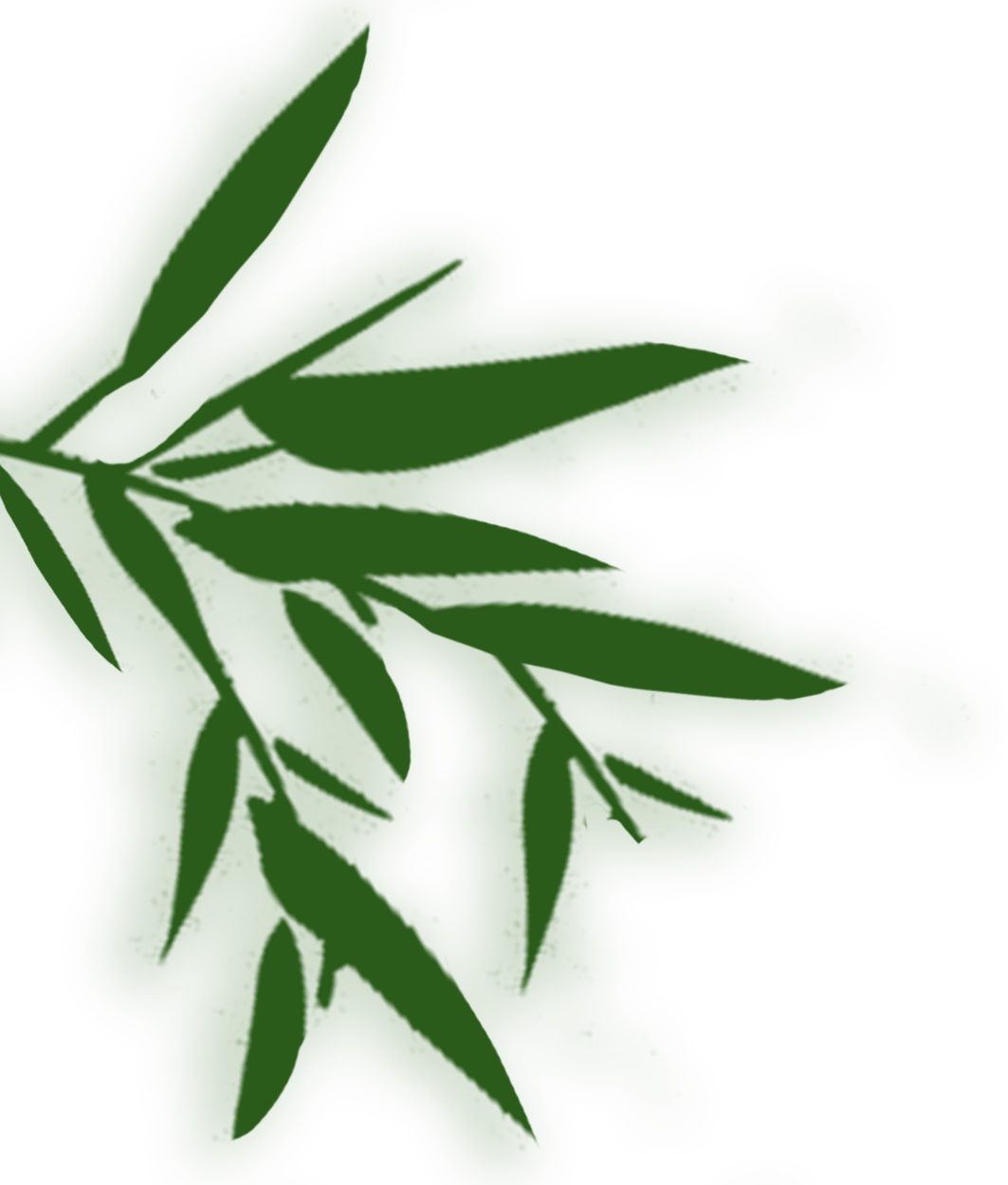 catch_6a349ac5b3308_0cadf304.png