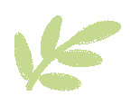 catch_6a3498f7b5751_7ee0f57d.gif