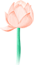 d5fce4f12c9d4097b83973860327f3a5_5c176906.png