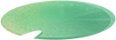 52dd9c7a8e4a417b9345eeddbfa8248c_b3c7479d.png