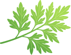 531f48a5fc9b4c2ea8007ee5a24e2dab_01d6cdd4.png