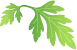 1c3c521e4c4148208155c71f730ff36e_71e9464b.png
