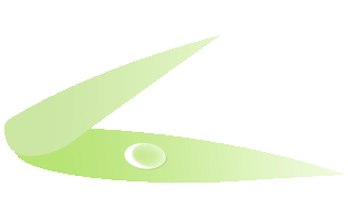 f7a367174d074182853ce83c803d75ba_19f86e8a.gif