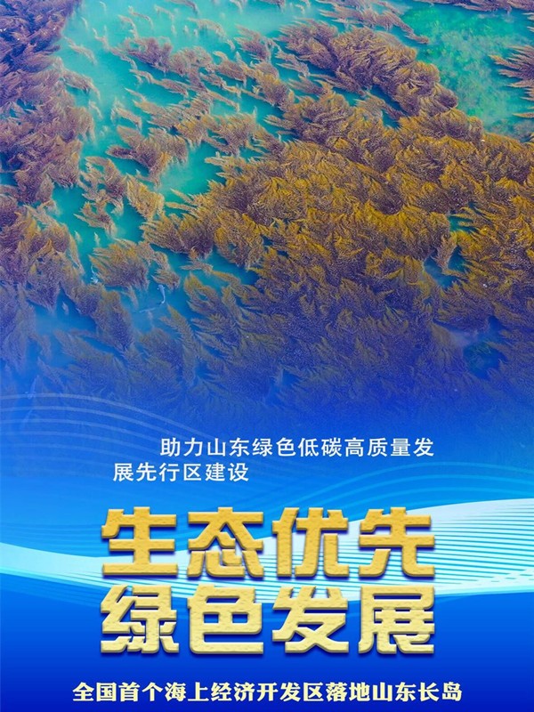 cb77d431197d4d2c96910c750e21f0df_e0f3bef3.jpg