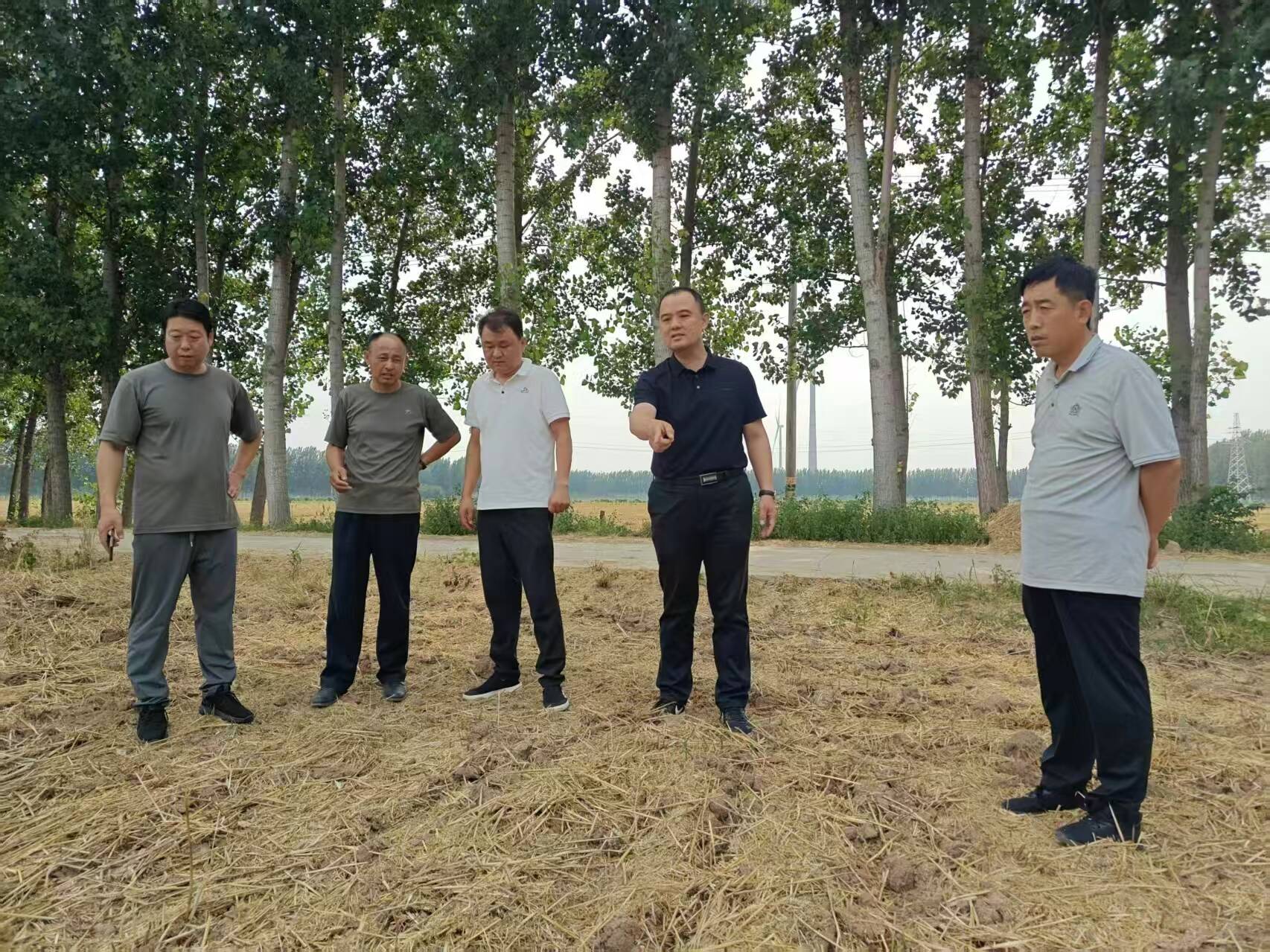 姚寨镇组织全员对大豆玉米带状复合种植地块进行实地核查