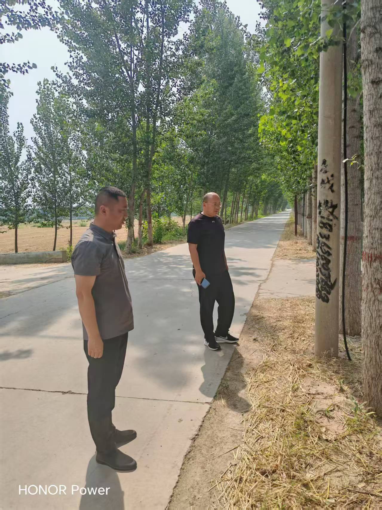 姚寨镇组织开展道路扬尘及路域环境综合整治督导检查