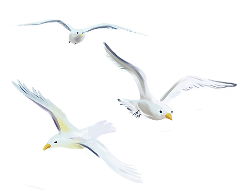324581558eac4807b11e3c793a0162ec_38691ebd.png
