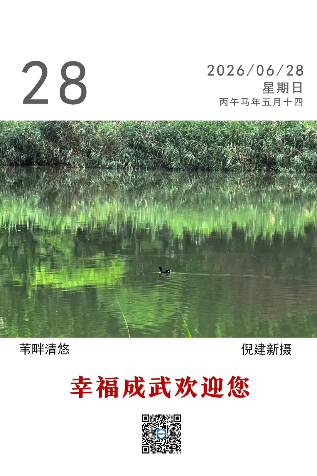 幸福成武•每日一图丨 苇畔清悠