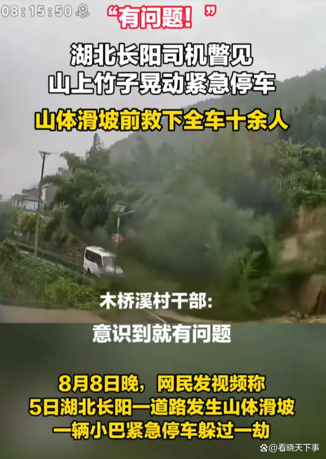司机见竹子晃动紧急停车救下全车人 敏锐观察力化险为夷